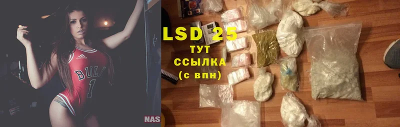 LSD-25 экстази кислота  купить  цена  Майкоп 